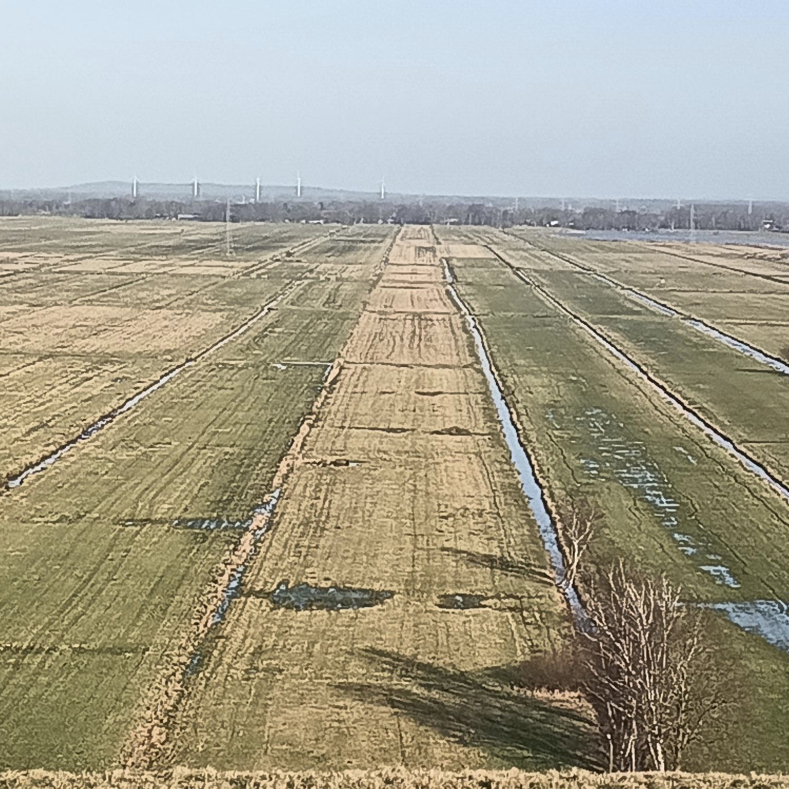 fountain%20angleview